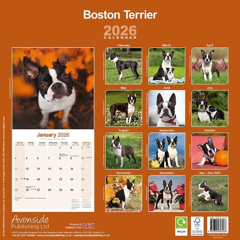 Boston Terrier Calendar Back