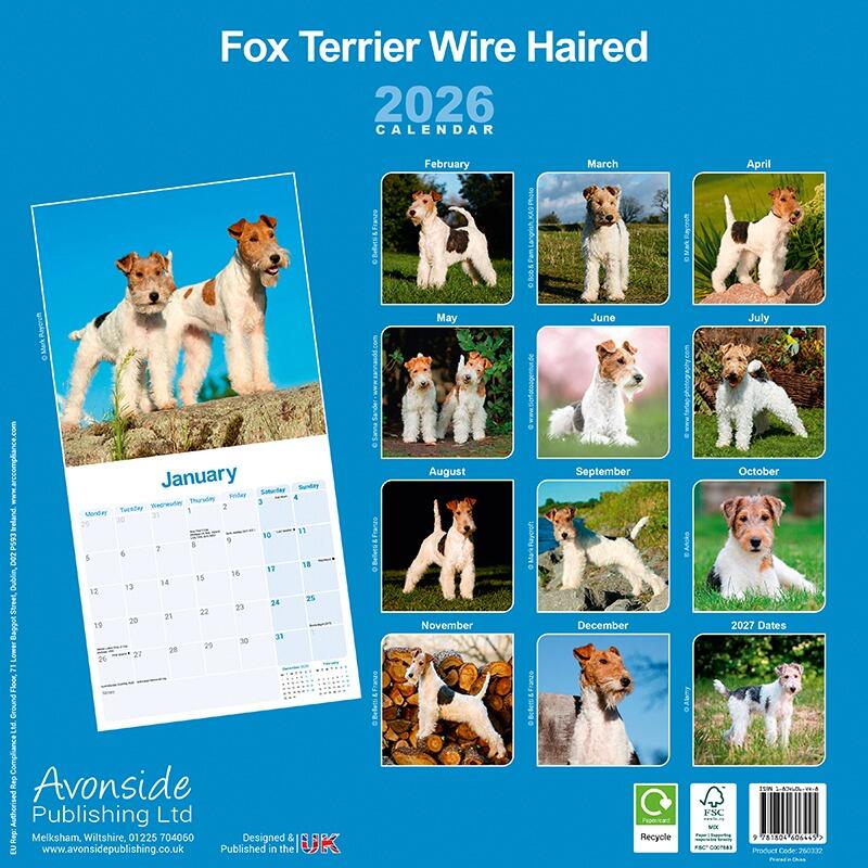 Wire Fox Terrier Wall Calendar 2026