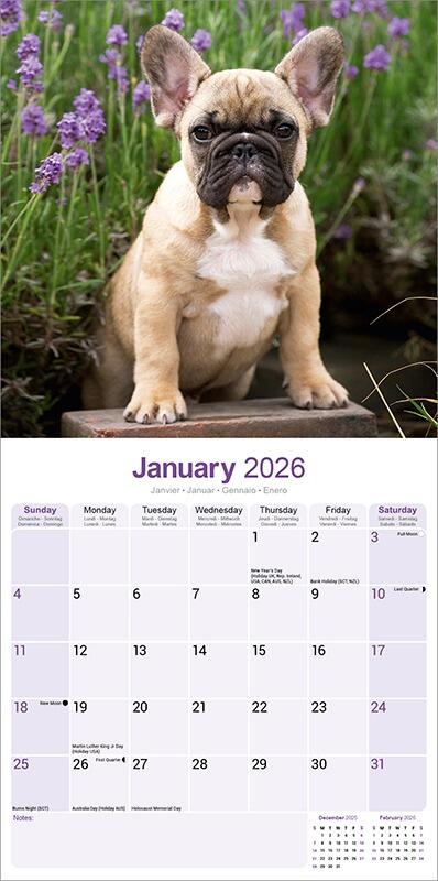 French Bulldog Calendar 2026 Planner