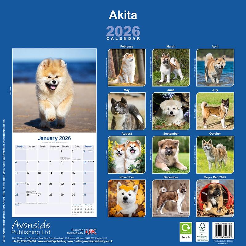 Akita Wall Calendar