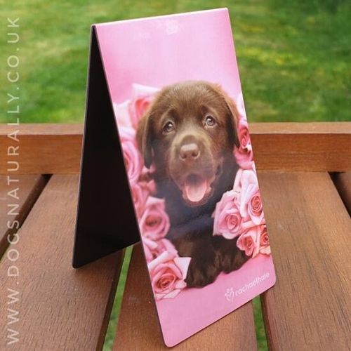 Dozer Chocolate Labrador Puppy Magnetic Bookmark