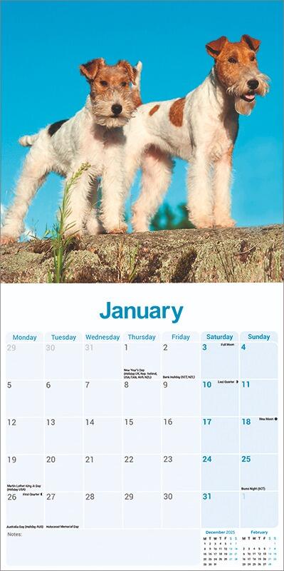 Wire Fox Terrier Calendar 2026 Planner