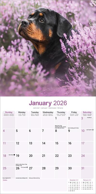 Rottweiler Calendar 2026 Planner