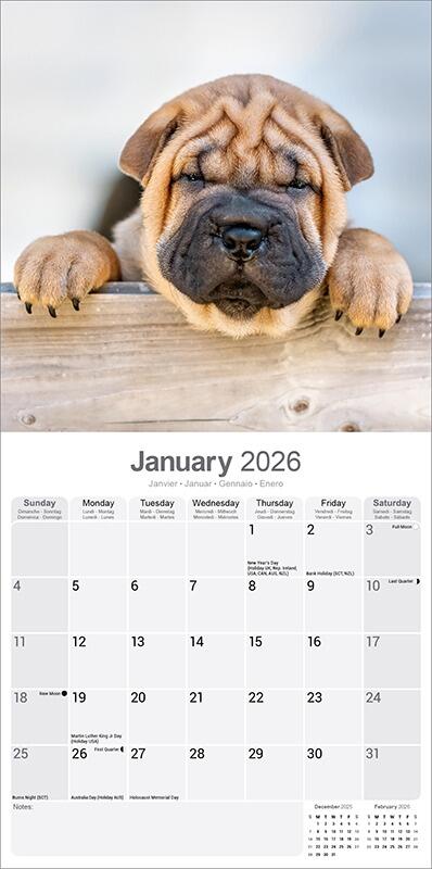 Shar Pei Calendar 2026 Planner