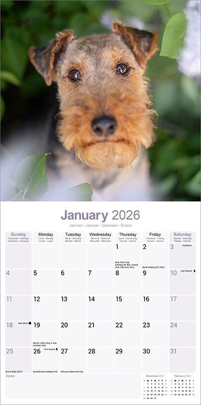 Welsh Terrier Calendar 2026 Planner