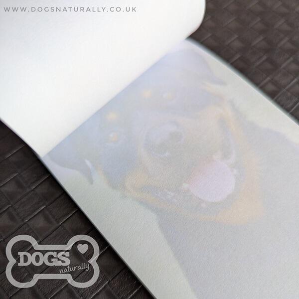 Rottweiler Standard Magnetic Note Pad Inside