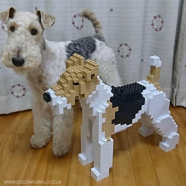 Wirehaired Fox Terrier Lego inspired brick building kits