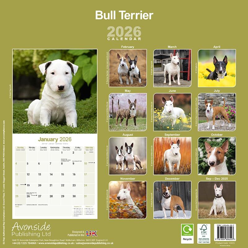 English Bull Terrier Calendar 2025 Back