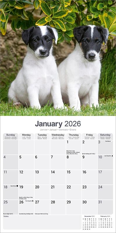 Fox Terrier Calendar 2026 Planner