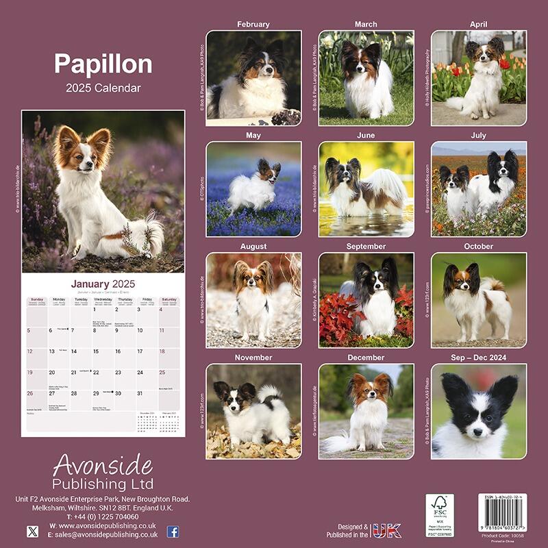 Papillon Wall Calendar 2026