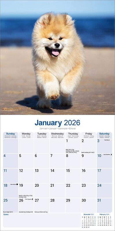 Akita Dog Lover Calendar - Planner