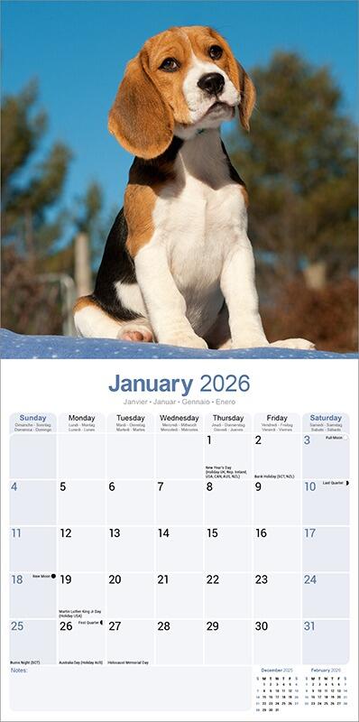 Beagle Hound Calendar Planner