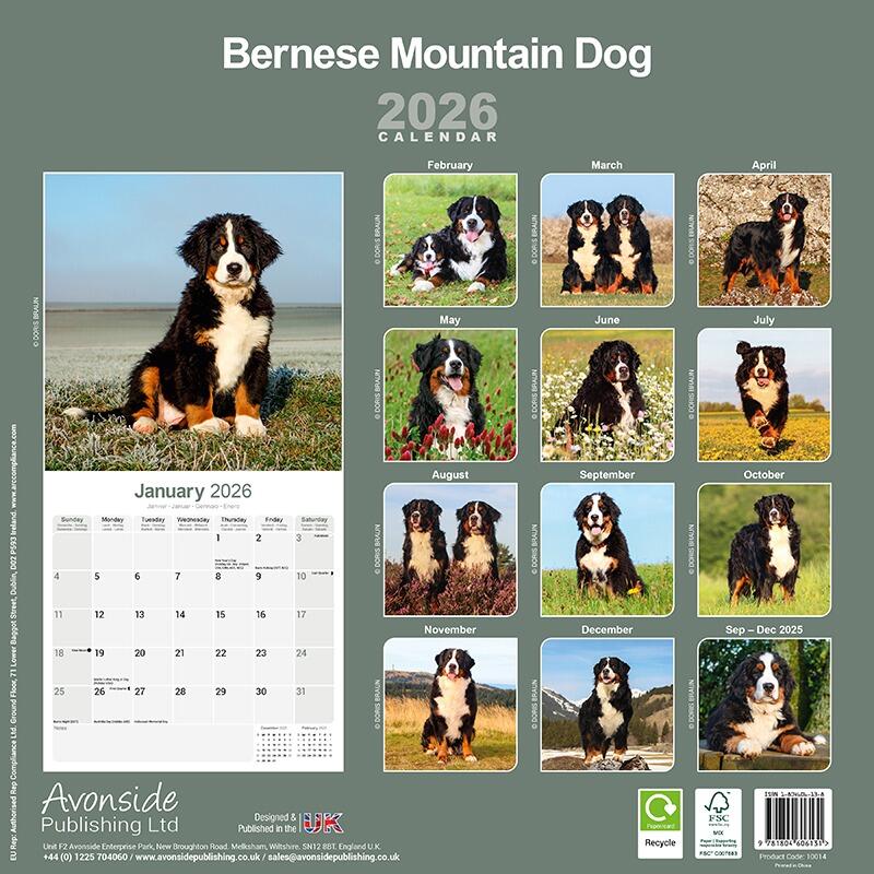 Bernese Mountain Dog Lover Gift Calendar