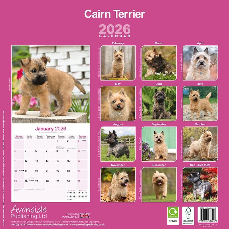 Cairn Terrier Calendar 2026 Back