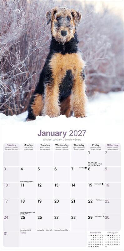 Airedale Lover Gift Calendar