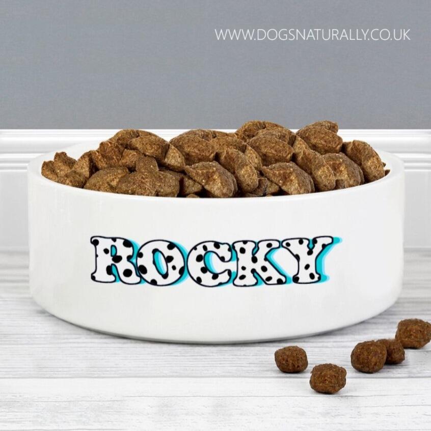 Personalised Dog Bowl Blue Dalmatian Font Design - Rocky