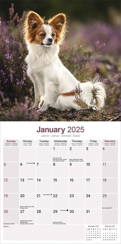 Papillon Calendar 2026 Planner