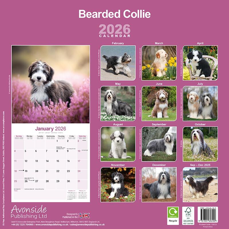 Bearded Collie Dog Lover Calendar