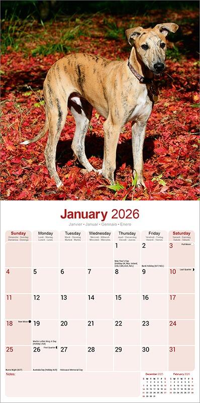 Greyhound Calendar 2026 Planner