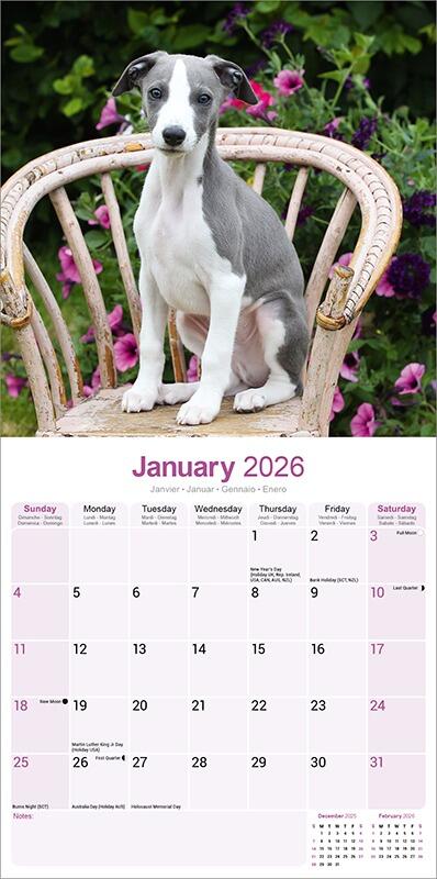 Whippet Calendar 2026 Planner