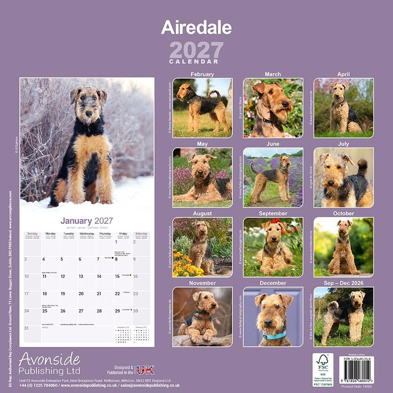 Airedale Terrier Calendar