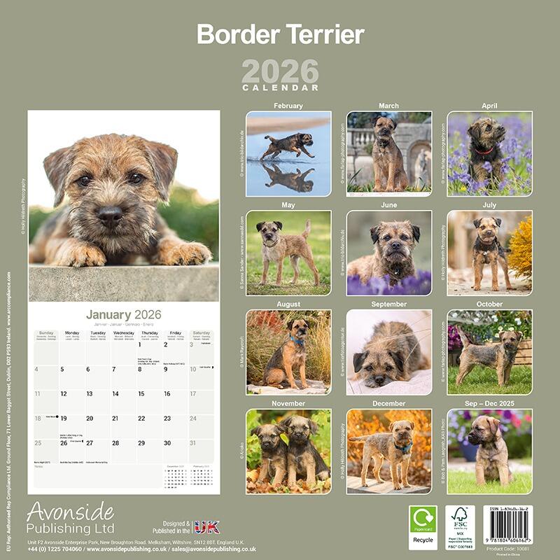 Border Terrier Calendar Back