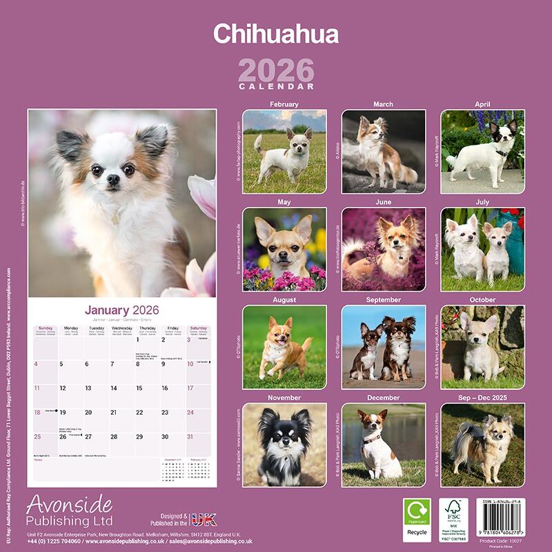Chihuahua Calendar 2026 Back