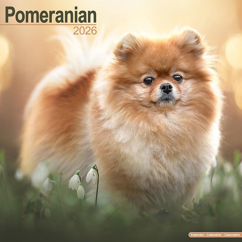 Pomeranian Calendar 2026