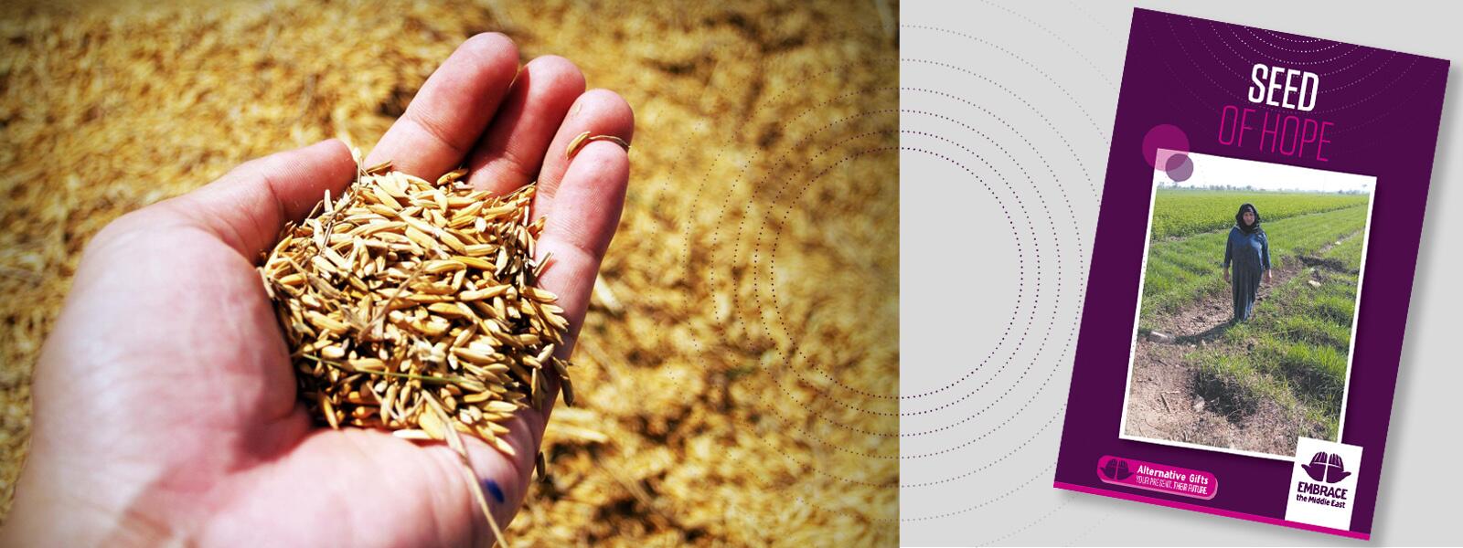 Alternative gift Seed of Hope