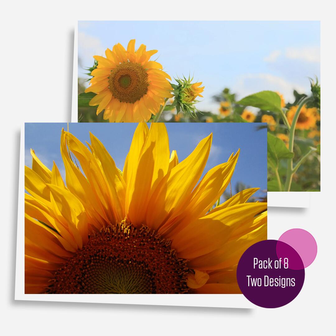 Embrace the Middle East - Notecards - Happy Birthday Notecards