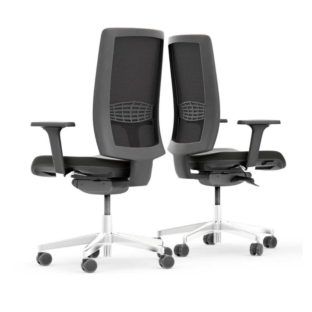 Two Kind Mesh task chairs rear angled view showing mesh backs and armrests