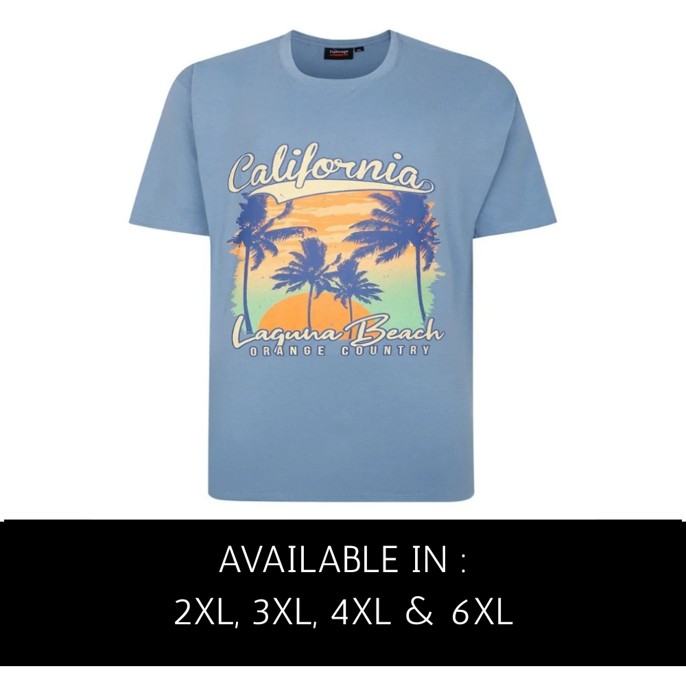 Espionage California Laguna Beach graphic T-shirt in sky blue with palm tree sunset print