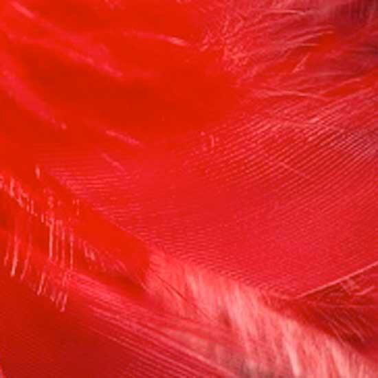 blazeon_fairy_lights_shop_by_colour_red