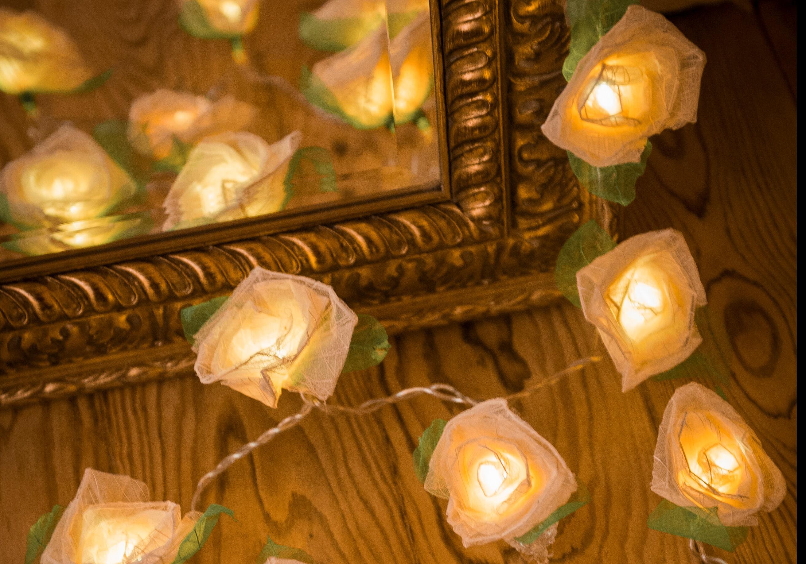 Handcrafted Cream Cabbage Rose Fairy Lights with 30 Warm White LED Lights by Blaze On