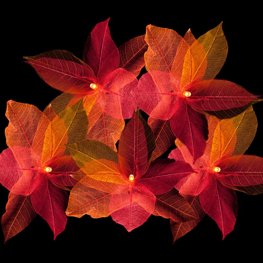 Natural Leaf Fairy Lights in Fire Tones – Handcrafted Thai Rubber Tree Leaf Flowers