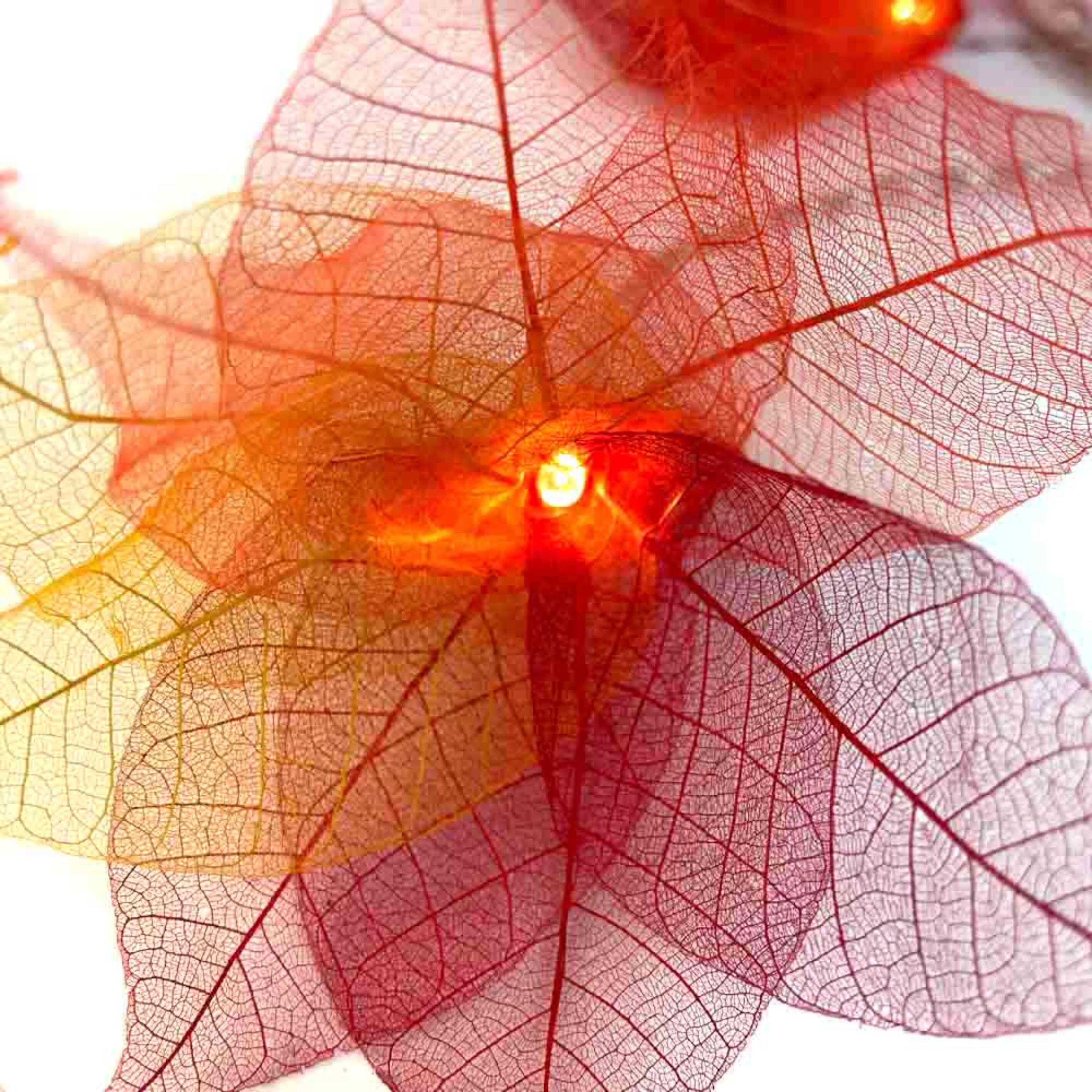Natural Leaf Fairy Lights in Fire Tones – Handcrafted Thai Rubber Tree Leaf Flowers