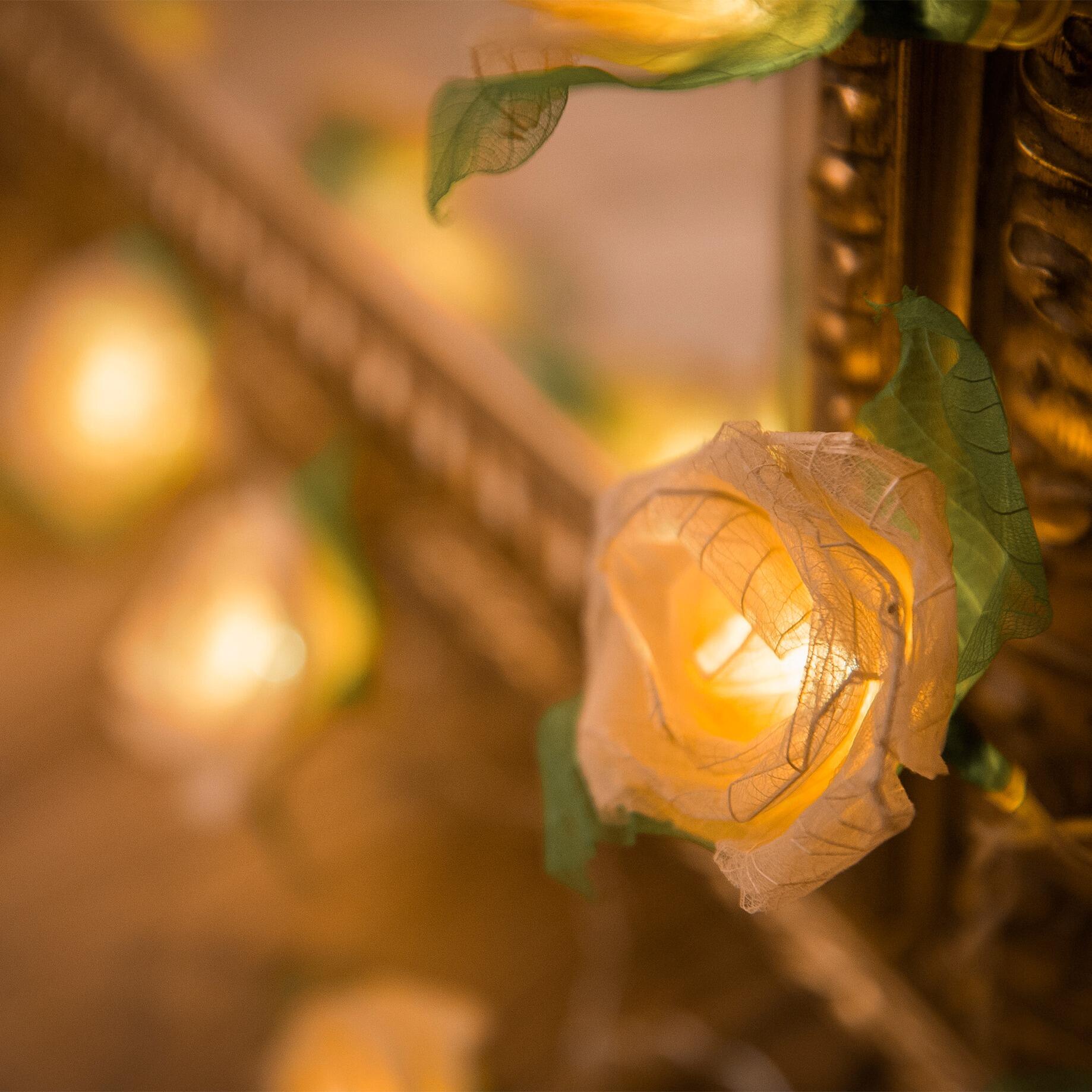 Handcrafted Cream Cabbage Rose Fairy Lights with 20 Warm White LED Lights by Blaze On