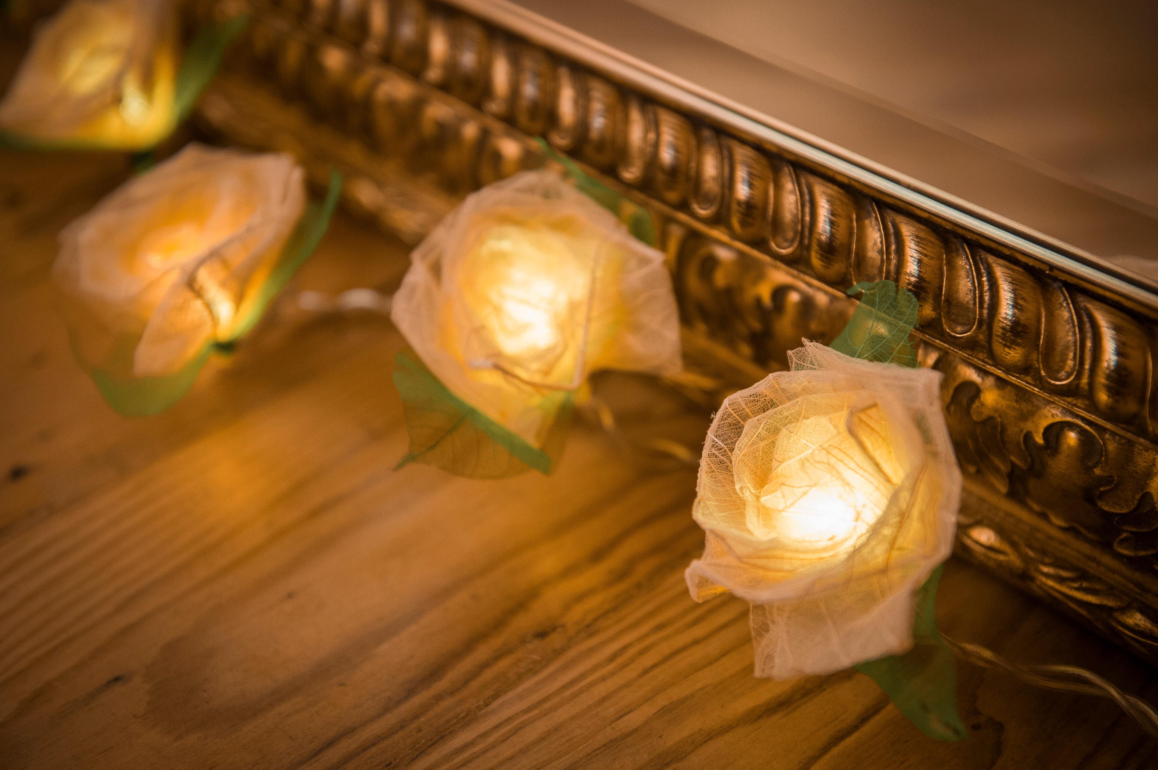 Handcrafted Cream Cabbage Rose Fairy Lights with 30 Warm White LED Lights by Blaze On