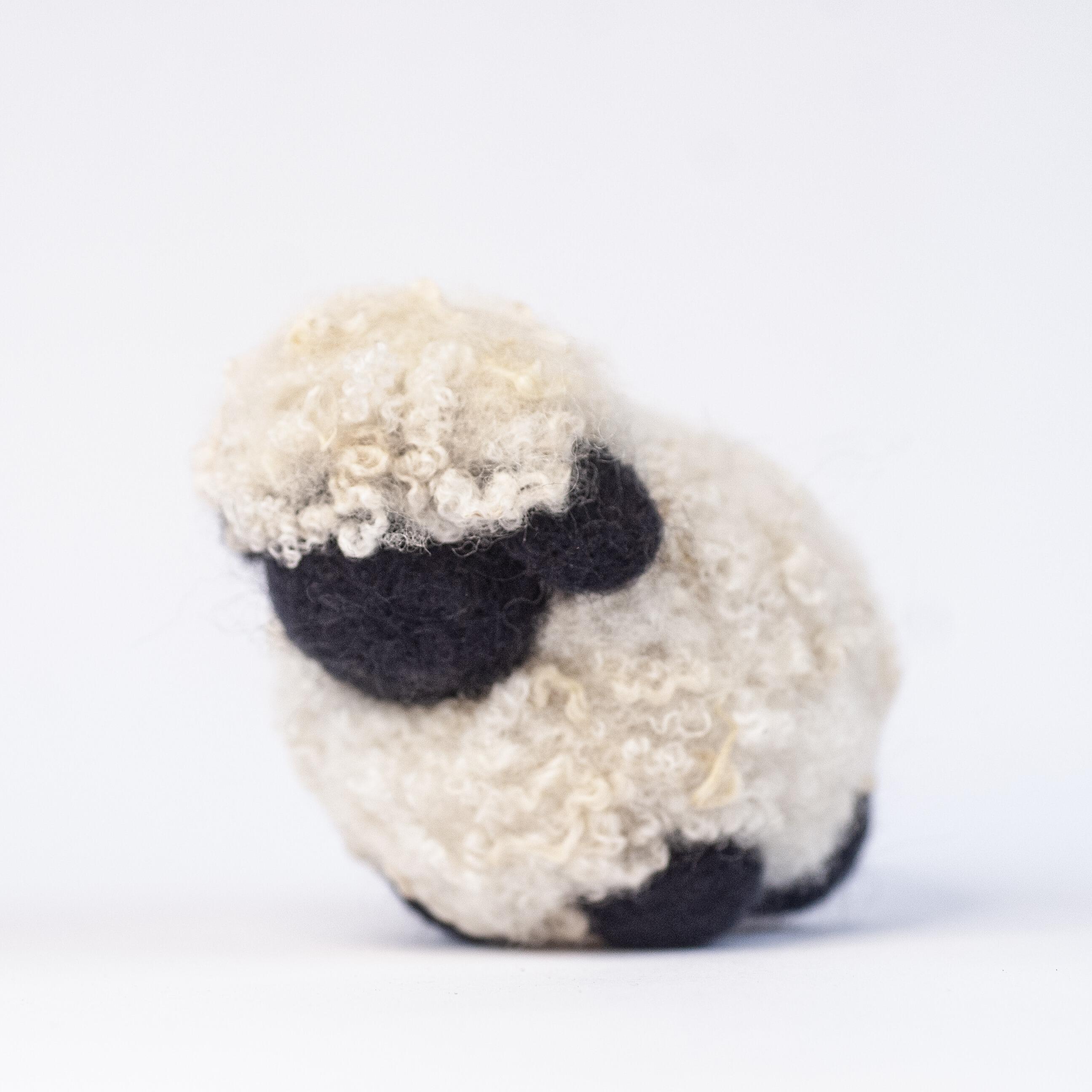 Finished Dibble the Sheep felt animal, showcasing natural curly Blue Faced Leicester wool fleece with a distinct black face and ears from a beginner needle felting kit.