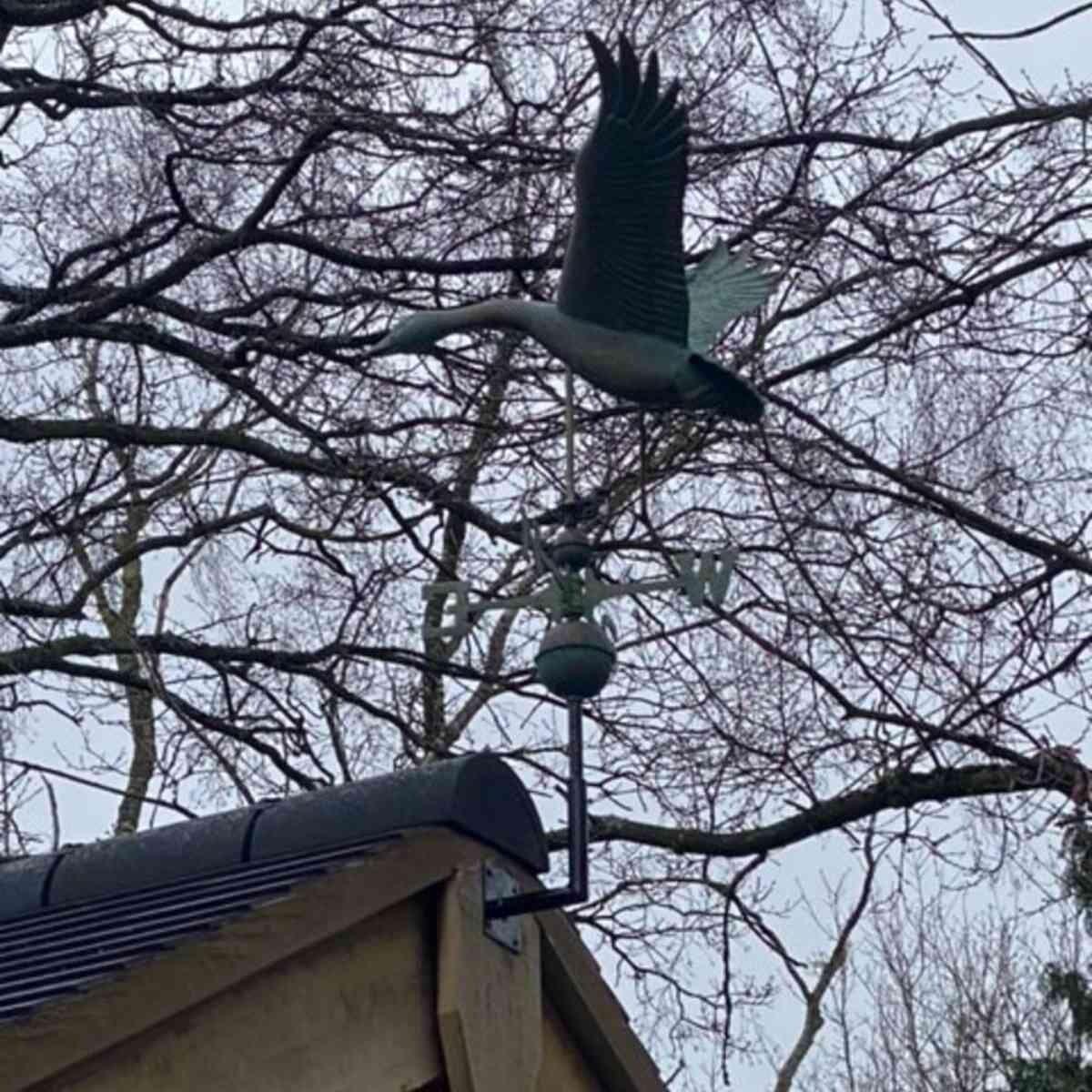 Large pure copper goose weathervane aged weathered verdigris