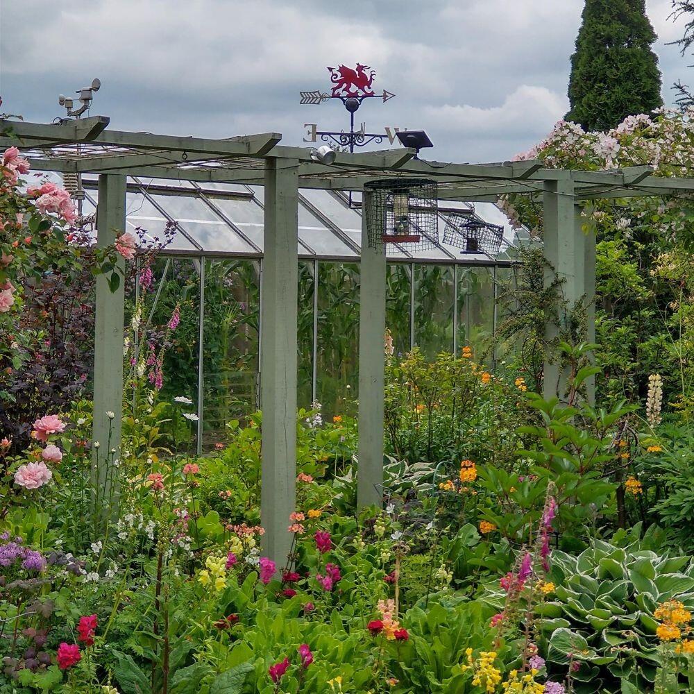 Red Welsh Dragon Weathervane on a Garden Pergola