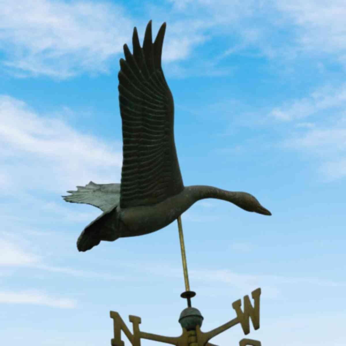 Large pure copper goose weathervane aged weathered verdigris