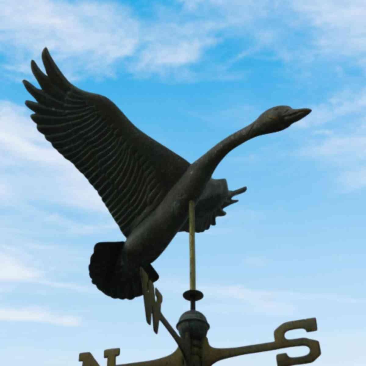 Large pure copper goose weathervane aged weathered verdigris