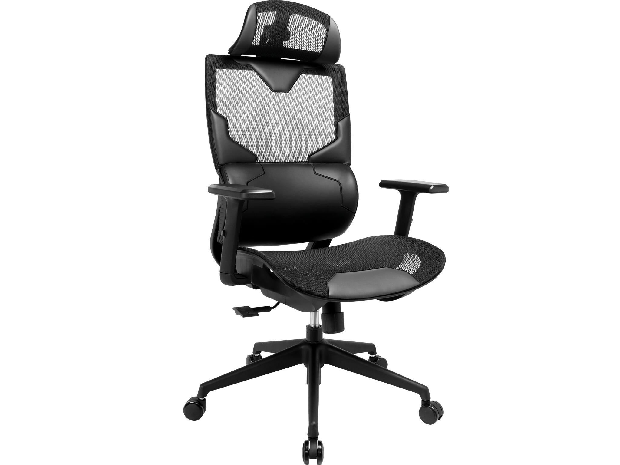 Large Image