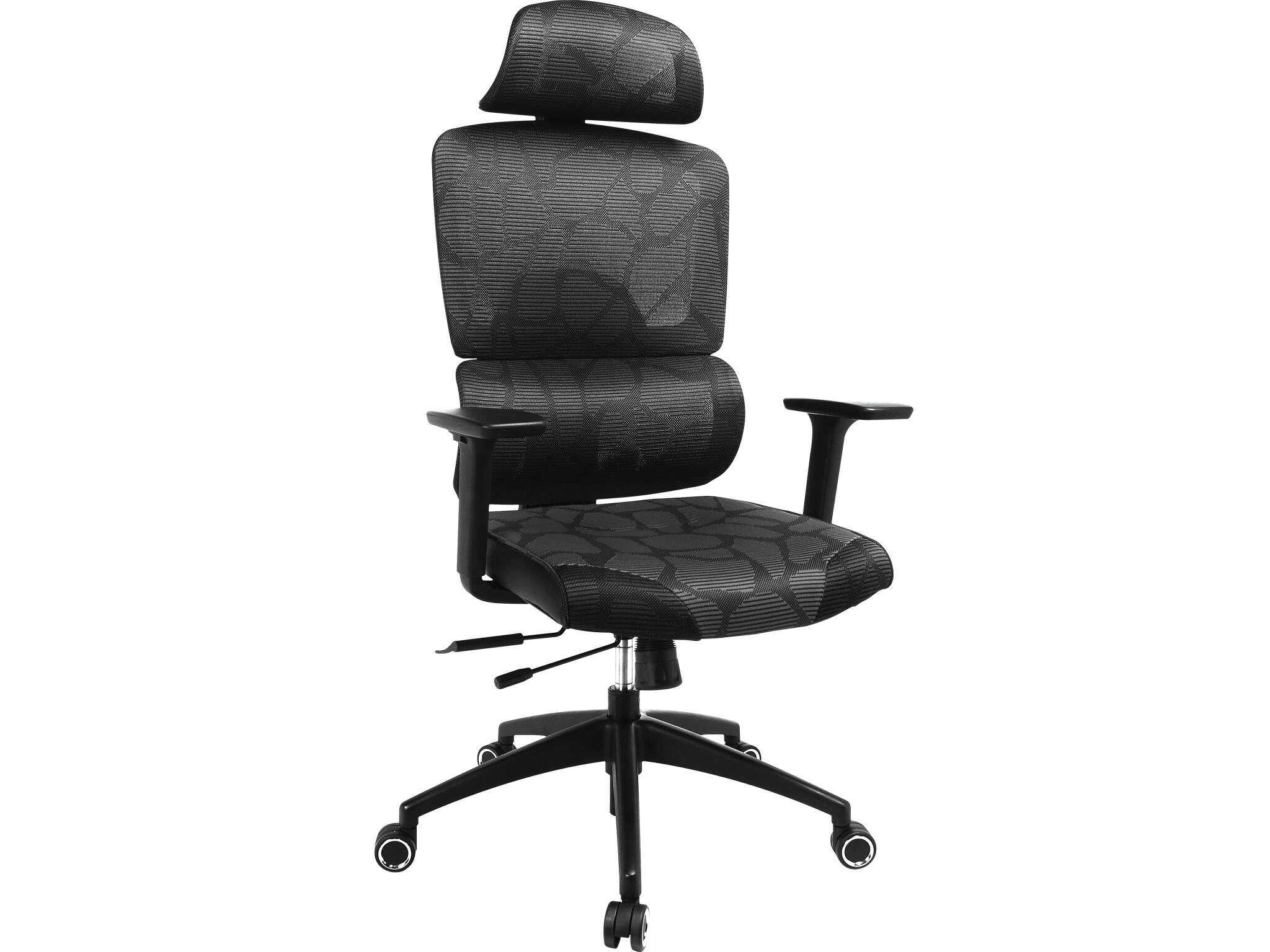 Large Image