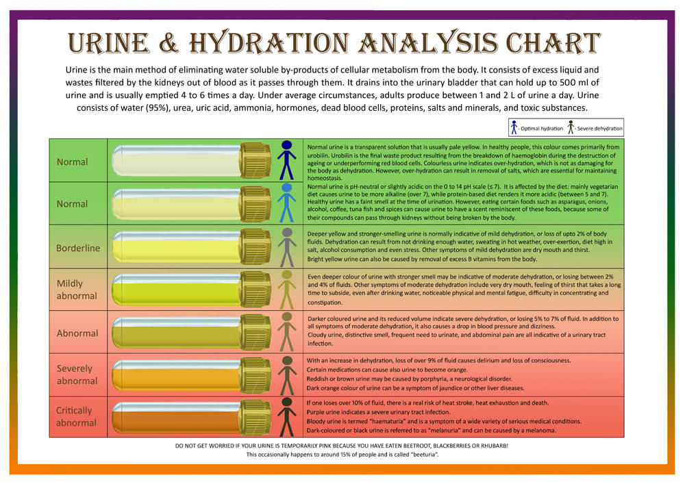 Educational Bristol Stool Scale Urine Hydration Analysis Charts