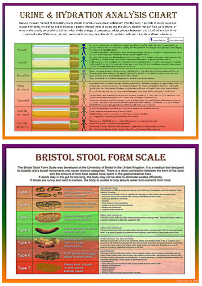 Bristol Stool Form Scale Chart