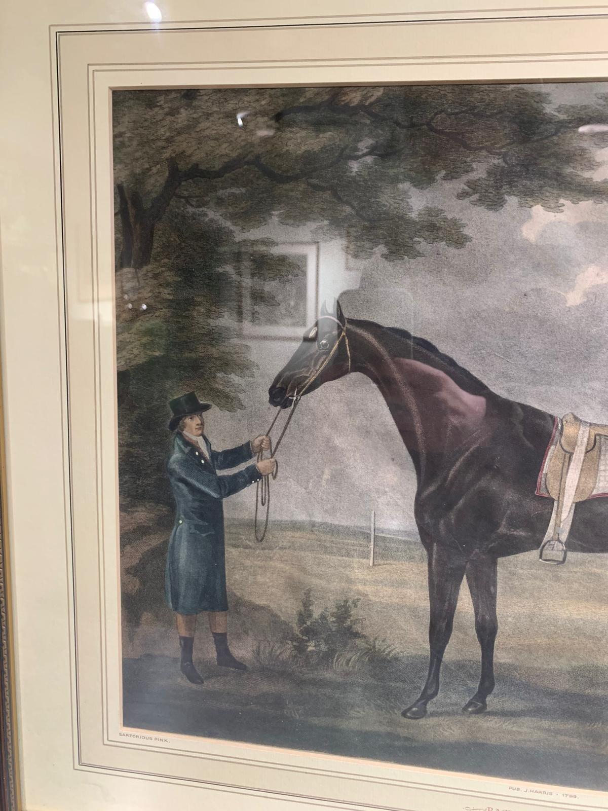 Antique print of Racehorse Diamond