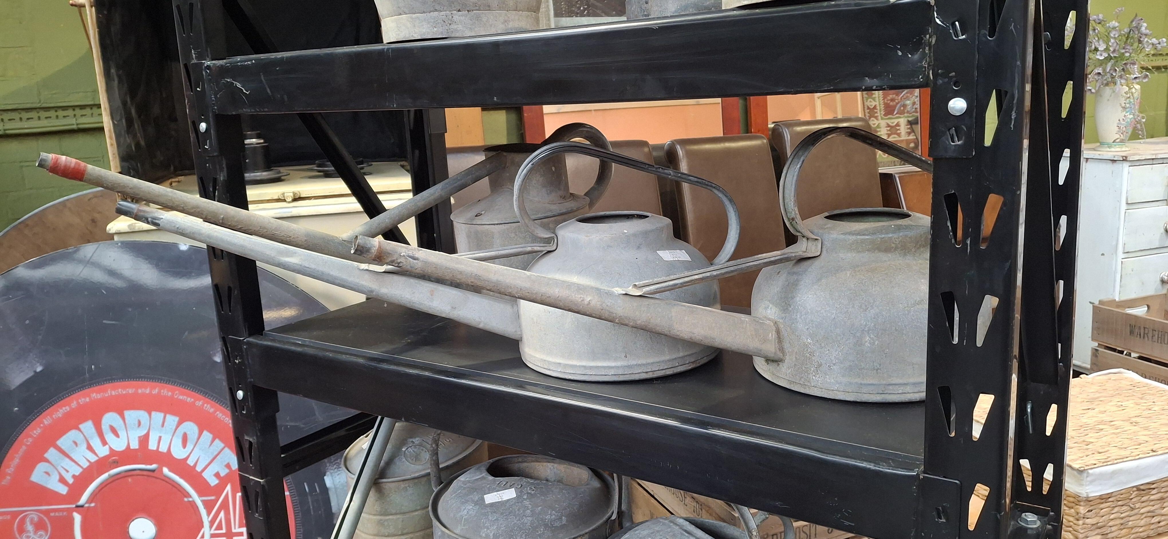 Assorted Vintage Watering Cans Some with Roses