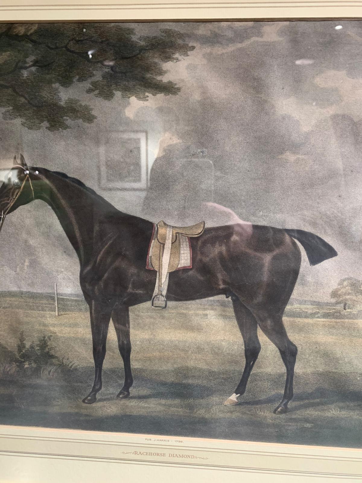 Antique print of Racehorse Diamond